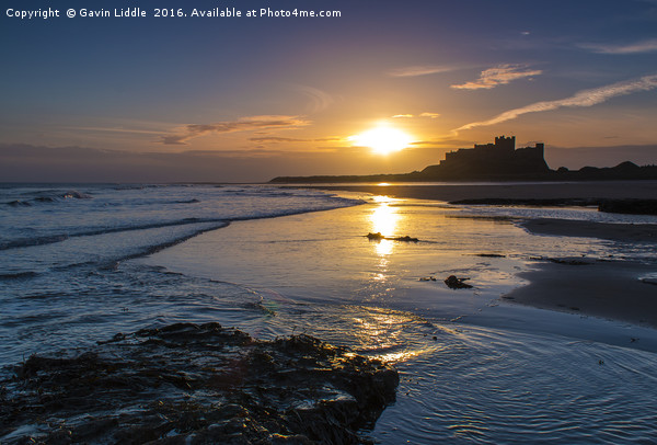 Sunrise at Bamburgh Castle Picture Board by Gavin Liddle