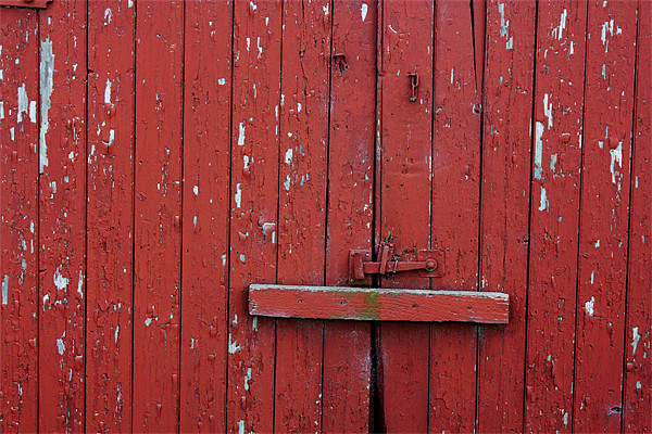 Wooden Door Picture Board by Gavin Liddle
