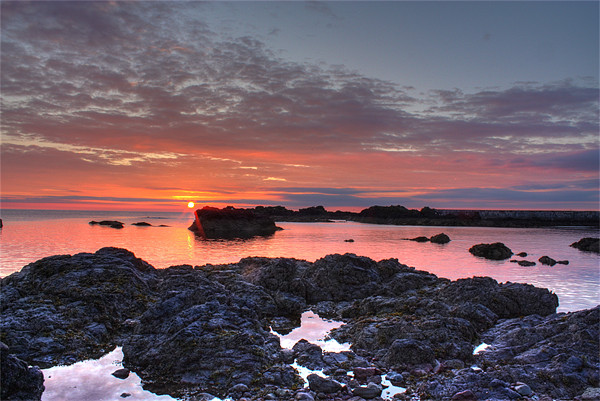 Sunrise at St Abbs Picture Board by Gavin Liddle