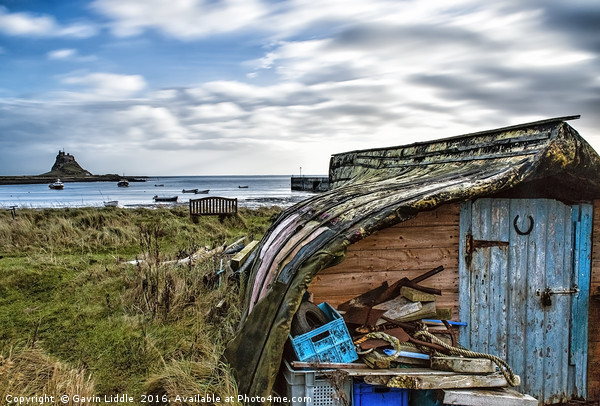 Boat Hut on Holy Island Picture Board by Gavin Liddle