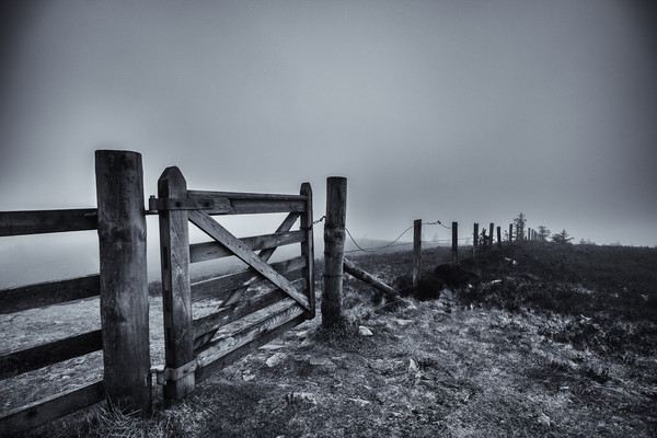 Gate in the Mist  Picture Board by Gavin Liddle