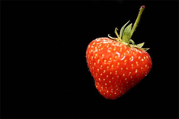 Strawberry Picture Board by Gavin Liddle