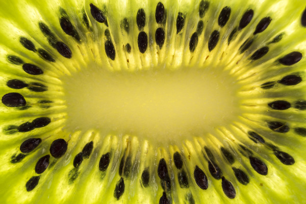 Kiwi Fruit Macro Picture Board by Gavin Liddle