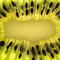 Buy canvas prints of Kiwi Fruit Macro by Gavin Liddle