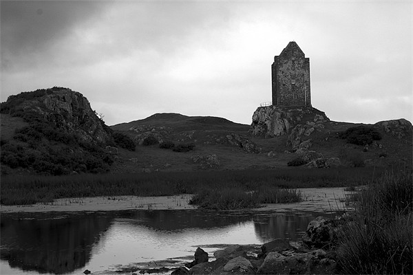 Smailholm Tower Picture Board by Gavin Liddle