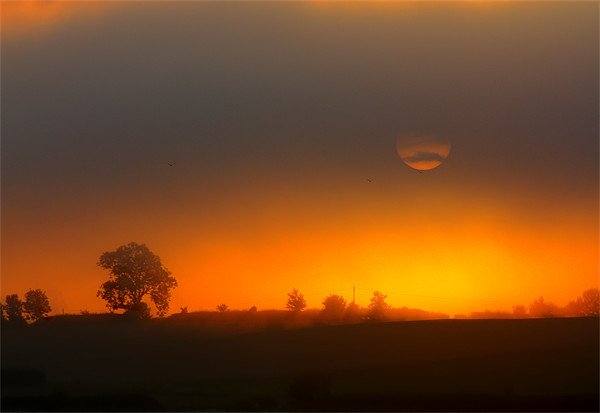 Misty Sunrise Picture Board by Gavin Liddle