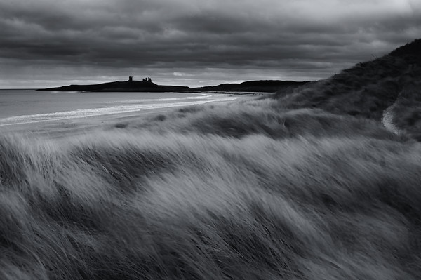 Dunstanburgh Dunes Picture Board by Gavin Liddle