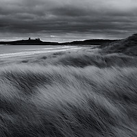 Buy canvas prints of Dunstanburgh Dunes by Gavin Liddle