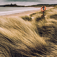 Buy canvas prints of Dunes at Dunstanburgh by Gavin Liddle