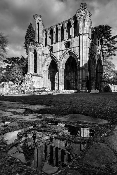 Dryburgh Abbey, Scottish Borders Picture Board by Gavin Liddle