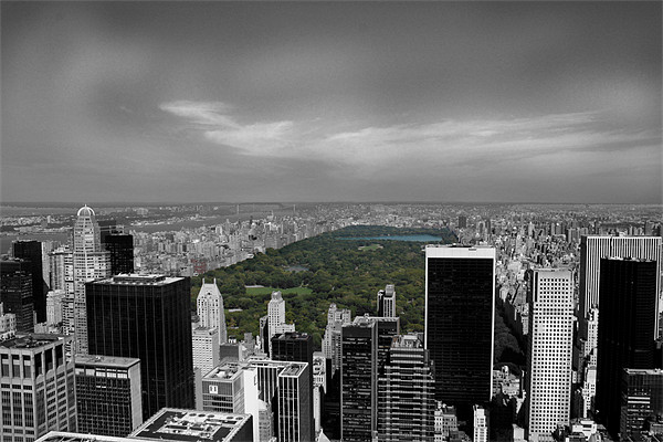 Central Park Picture Board by Gavin Liddle