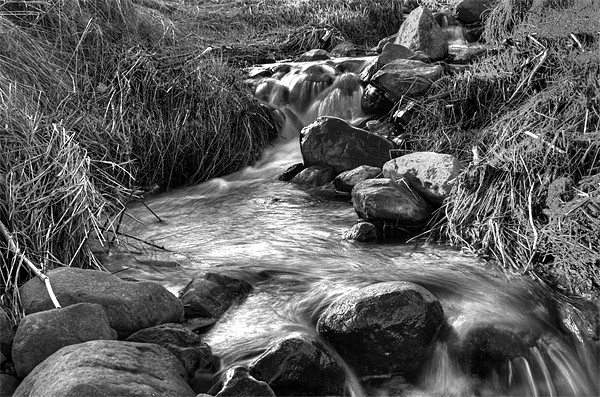 Stream in Black and White Picture Board by Gavin Liddle