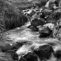 Buy canvas prints of Stream in Black and White by Gavin Liddle