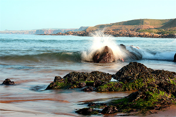 Crashing wave at Coldingham Sands Picture Board by Gavin Liddle