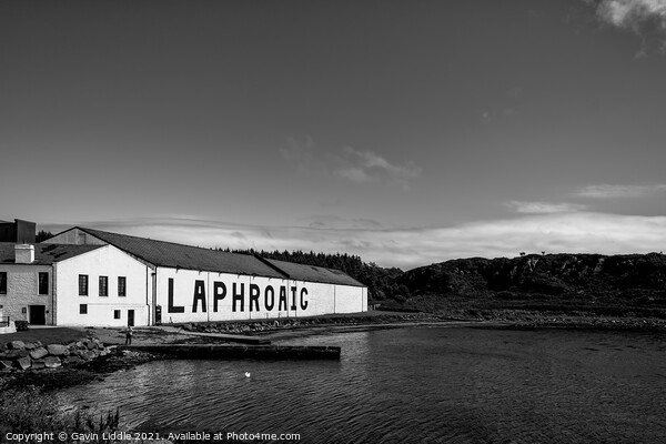 Laphroaig, Isle of Islay Picture Board by Gavin Liddle