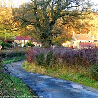 Buy canvas prints of Late Evening Sun at Church Houses, Farndale, North by John Gibson