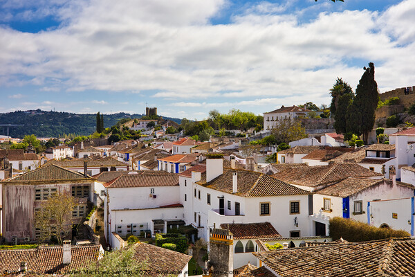 Rooftops of Obidos Picture Board by Jesus Martínez
