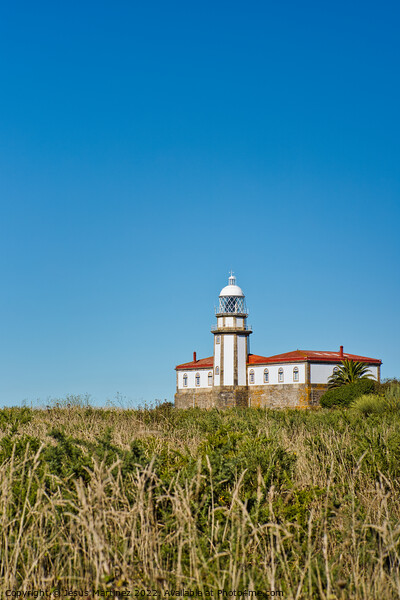 Ons Island Lighthouse Picture Board by Jesus Martínez