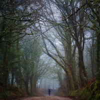 Buy canvas prints of Solitude in a Misty Portuguese Forest by Jesus Martínez