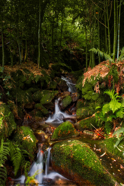 Enchanting Bamboo Waterfall in Galicia Picture Board by Jesus Martínez