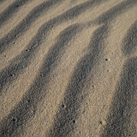 Buy canvas prints of Sand Pattern 1 by Lauren McEwan
