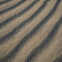 Buy canvas prints of Sand Pattern 2 by Lauren McEwan