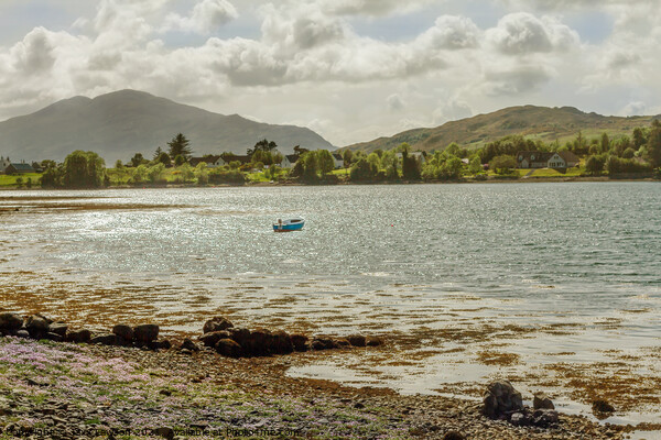 Boat on Loch Long, Dornie Picture Board by Jaxx Lawson