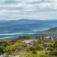 Buy canvas prints of Across Loch Insh to the Cairngorms by Jaxx Lawson