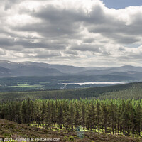 Buy canvas prints of Loch Insh & The Cairngorms by Jaxx Lawson