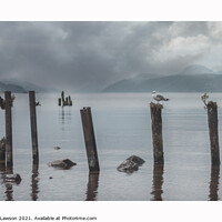 Buy canvas prints of Gull on a post, Loch Ness by Jaxx Lawson