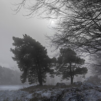 Buy canvas prints of Misty Winter Morning by Jaxx Lawson