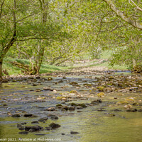Buy canvas prints of River Cover in Coverdale, Yorkshire by Jaxx Lawson