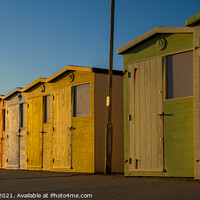 Buy canvas prints of Golden Sunlight on Beach Huts by Hannah Temple
