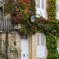 Buy canvas prints of French Doorway by Hannah Temple