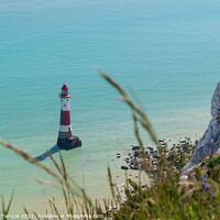 Buy canvas prints of Beachy Head Lighthouse by Hannah Temple