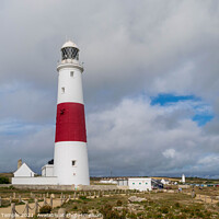 Buy canvas prints of Portland Bill Lighthouse by Hannah Temple