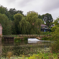 Buy canvas prints of Sturminster Newton Mill by Hannah Temple