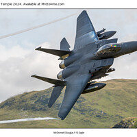 Buy canvas prints of McDonnell Douglas F-15 Eagle  by Hannah Temple