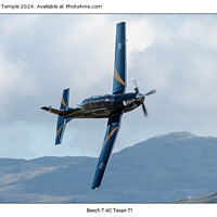 Buy canvas prints of Beech T-6C Texan T1  by Hannah Temple