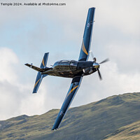 Buy canvas prints of Beech T-6C Texan T1  by Hannah Temple