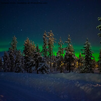 Buy canvas prints of Northern Lights by Hannah Temple