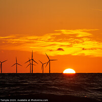 Buy canvas prints of Setting sun at the wind farm  by Hannah Temple