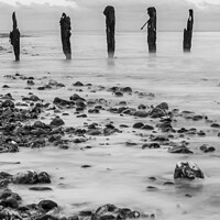 Buy canvas prints of Groynes on the Beach by Hannah Temple