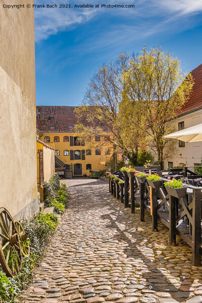 Old narrow streets in faaborg city, Denmark Picture Board by Frank Bach