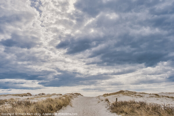 Dunes on Skallingen at the North Sea in rural western Denmark Picture Board by Frank Bach