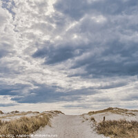 Buy canvas prints of Dunes on Skallingen at the North Sea in rural western Denmark by Frank Bach