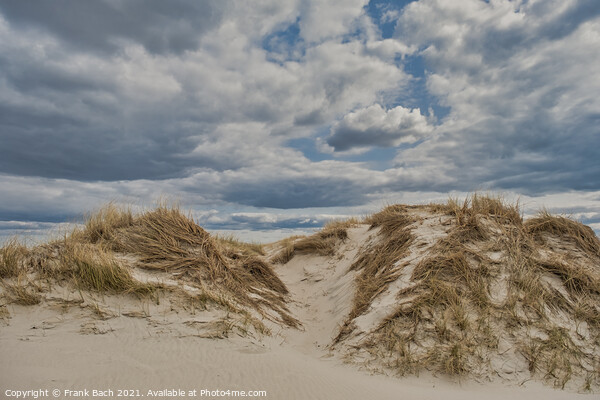 Dunes on Skallingen at the North Sea in rural western Denmark Picture Board by Frank Bach
