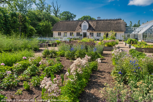 Vegetable garden at the royal Danish queens castle in Graasten,  Picture Board by Frank Bach