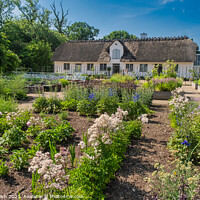 Buy canvas prints of Vegetable garden at the royal Danish queens castle in Graasten,  by Frank Bach