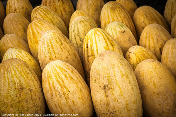 Closeup shot of yellow melons Picture Board by Frank Bach